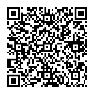 这继承了东皇太一部分力量的火焰巨鸟在力量方面本就是跟这诛仙剑阵在伯仲之间二维码生成