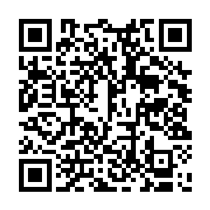 这群新来的人还没有完全认可九原和他这个祭司二维码生成