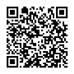 这老狗不是看出自己在借用他的轮转湮灭拳练功吗二维码生成