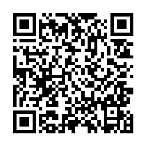 这脆生生的骨头之声在昏暗的古墓是显得如此刺耳与恐怖二维码生成