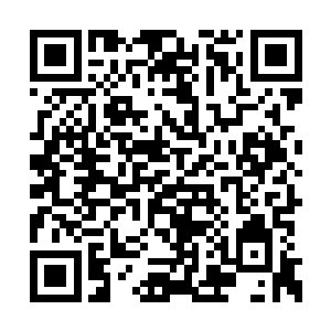 这艘至关重要的运输舰当然不能贸然上前送死了二维码生成