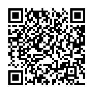 这表明自己已经完全掌握了这强横无比的虎跃山林二维码生成
