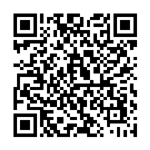 这让一直认为是弱肉强食的杨晨不禁有些好奇起来了二维码生成