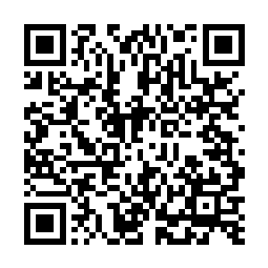 这让劳累了一天的甄婕真有点坐下去就不想起来的感觉二维码生成