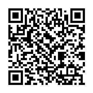 这说明现代使用的简体字确实不是胡乱改出来的二维码生成