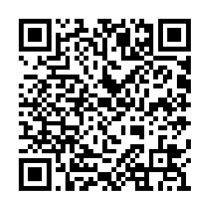 这说明这条螭龙是留在这里看守进出这里的通道二维码生成