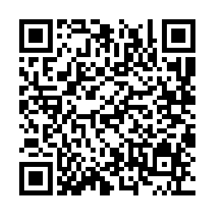 这辈子何氏是一点儿没有将卫蘅嫁给何致的打算的二维码生成