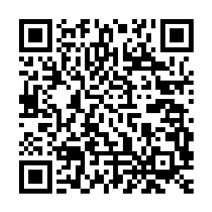 这边以严默和原战为首的无角人们像是突然全都隐藏了起来一般二维码生成