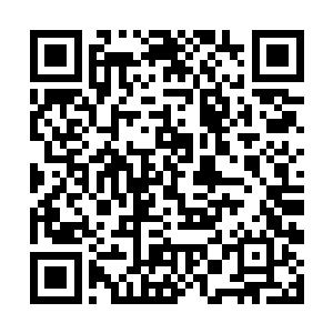 这还是他们印象里那个对谁都和和气气的领主大人么二维码生成