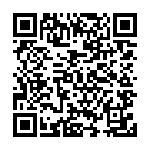 这里不得不满怀敬意地向大家介绍一下维塔特效制作公司二维码生成