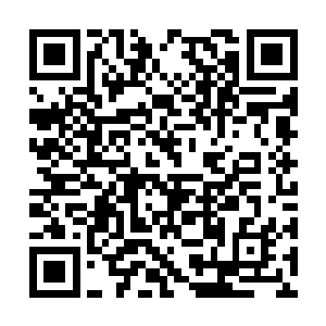 这里也是龙正午和林锐离开非洲到墨西哥的第二站二维码生成