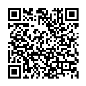 这里存在的那些七阶魔兽早已经不知道死去多少年了二维码生成