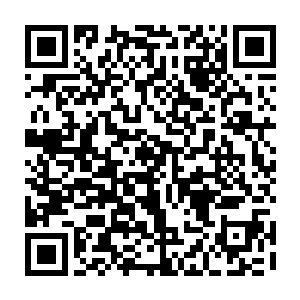 这里的石头里面都包含坚硬无比的寒心紫金……就它这么一只实力孱弱的小家伙二维码生成