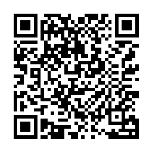 这里的阵盘和外面的阵盘和天灵大陆的阵盘是完全不一样的二维码生成