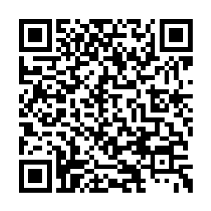 这里面除了一些医学方面的资料和我的随笔之外二维码生成