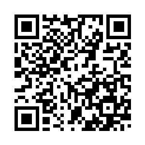 这顿饺子就由咱们自己动手包如何二维码生成