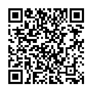 这颗果实在生成期间的一个副作用就是让你的运气变好二维码生成