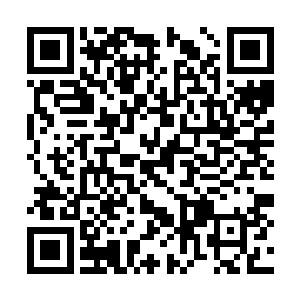 进入川岛大佐府的第二回合淘汰赛是在里面进行的二维码生成