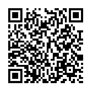 进入阳极宗的神殿中去取神兽皮的几名强者从神殿中出來二维码生成