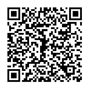 进化也计入了最后的阶段了……裂风狼王到底能够成功的熬过这一劫二维码生成