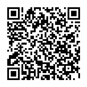 进化或者说改造对任何一个稳定的生命体来说都不是件可以轻松度过的事二维码生成