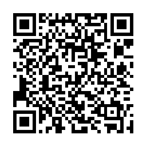进来之后第一眼看到的就是躺在餐桌前面的几个人二维码生成