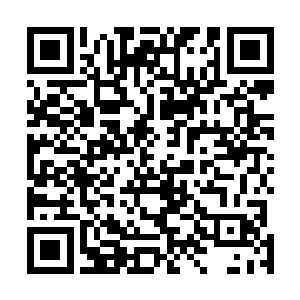 远在老家的柳茹婉与远在京城的慕萱萱都先后与张智通话二维码生成