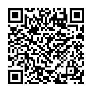 远处山谷中的一处平原出现在了他们的视线之中二维码生成