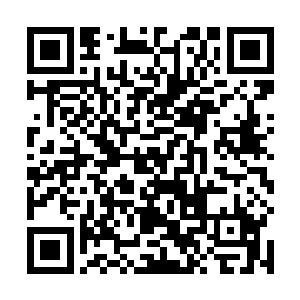 远处已经有几个天转境的强者抢下了一部分的恒河之晶二维码生成