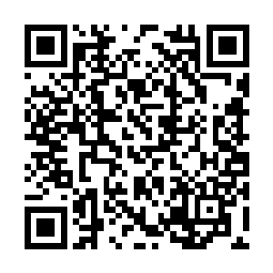 远远地就看到穿着青色褙子的女眷带着下人走过来二维码生成