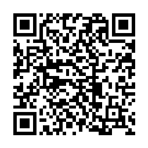远远的就看到雷天的高塔顶上射出的一道绿色灵光击中二维码生成
