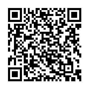 连他的名字还是仙子肯的他素来仰慕仙子的大名二维码生成