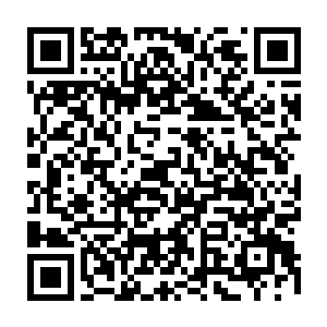连俢肆光是用想的都知道眼下里面那个丫头气呼呼泪汪汪的模样不太可爱二维码生成