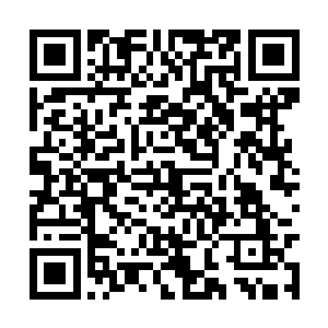 连带着暮色国几个皇子也猛地将目光投向了冷寒烟二维码生成