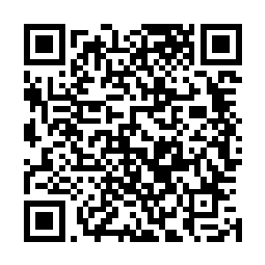 连某些选手上小学时的奇闻趣事都要拿出来骗点读者的购买二维码生成