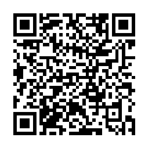 连滚带爬的飞奔过去将那根扔得远远的绳索又捡了起来二维码生成