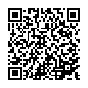 连赵君度和赵雨樱这样出身和天赋兼备的天才亦无优待二维码生成