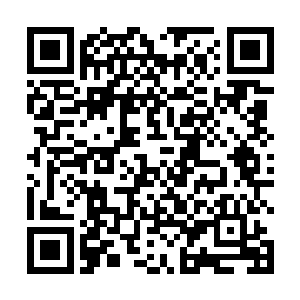 连运气这么虚无缥缈的事情居然都会受这颗果实的影响二维码生成