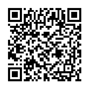 迟早有一天你会冲进羊圈把里面的羊全部吃光的二维码生成