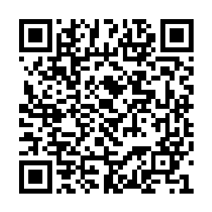 迫的孟雅晴展露出大圣域二重天修为才将其打败二维码生成
