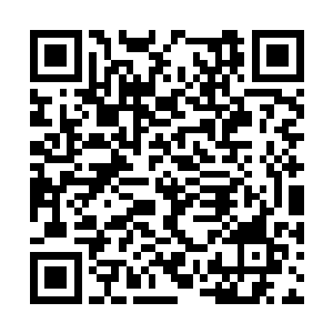 追捕两人并让他们给罗杰医治都是吃力不讨好的活二维码生成