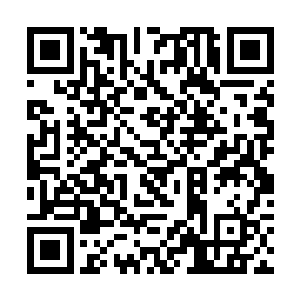 追魂灵蝶是一种生活在地下世界深渊之中的奇异物种二维码生成