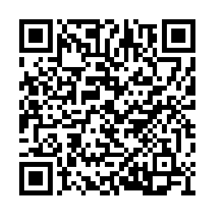 逆命者这个身份将他一步步带到了如今这个地步二维码生成