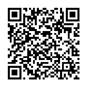 选举啊等等早就抛到脑后的东西乱糟糟地涌进脑海里二维码生成