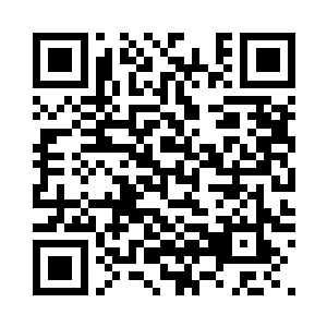 透过了电子屏幕看到了这一幕的铁熊二维码生成