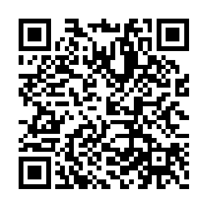 途中已经知道苗毅帮他们二十人解决了官方身份二维码生成