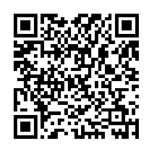 通过各大食品公司传播蛆虫尸兄的行动要延续很长时间二维码生成