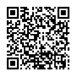 道友 赶紧离开这里 他们……他们……他们根本……二维码生成