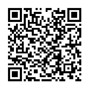 邢队长虽然只是远远在一些大会上见过秦局长几次二维码生成