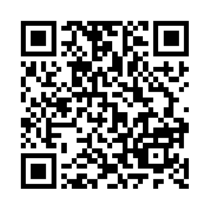 那一万大山的仙阵依旧由绿儿开启着大阵防御二维码生成